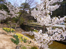 20120421
