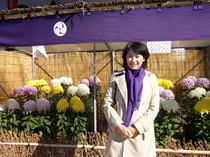 20121116