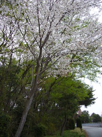 20130420