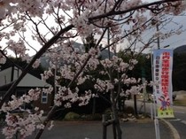20140411