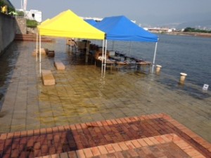 IMG_0555